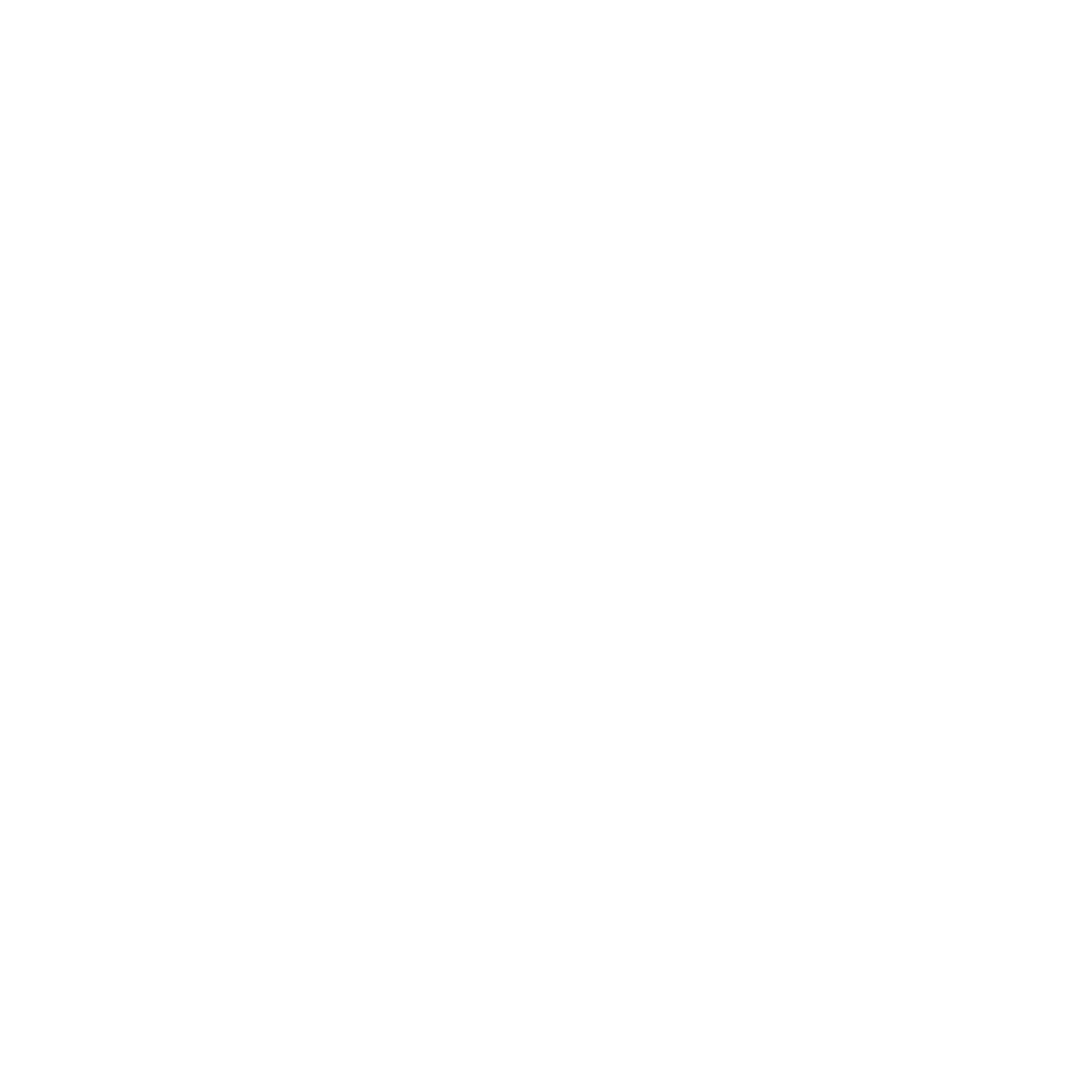 Logo Patrick Valentijn